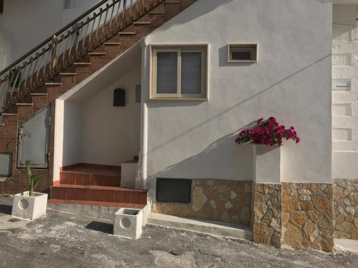 Casa Vacanze Flora Peschici Luaran gambar